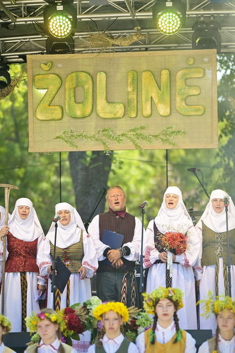 Zoline (1) resize