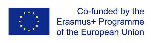 14 priedas. Logotipas EU veliava co funded resize
